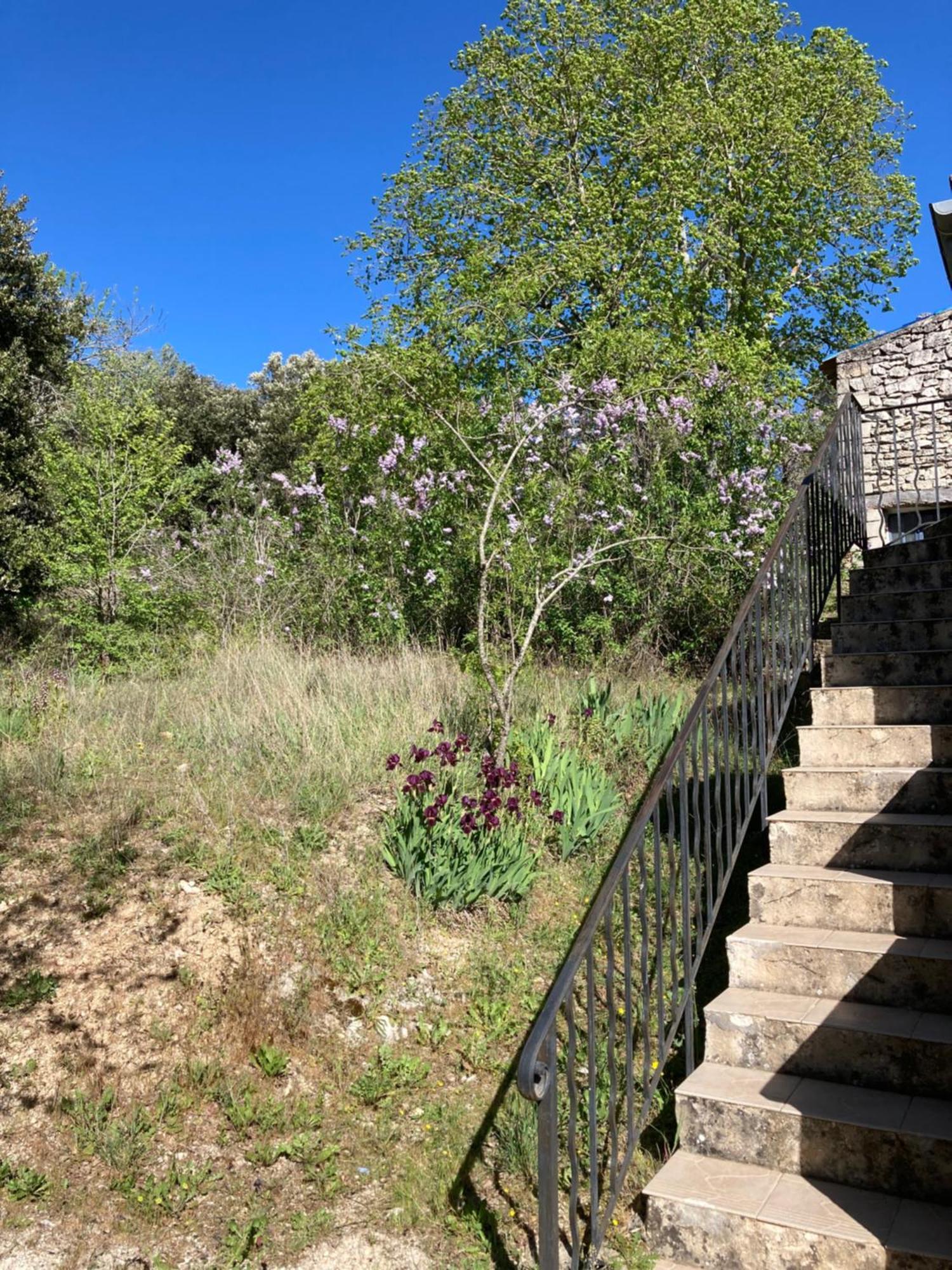 Villa Maison Au Colorado Provencal Rustrel Exterior foto